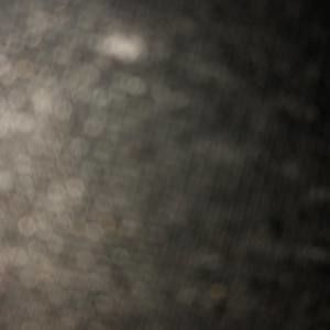 Meet your Posher, Willie